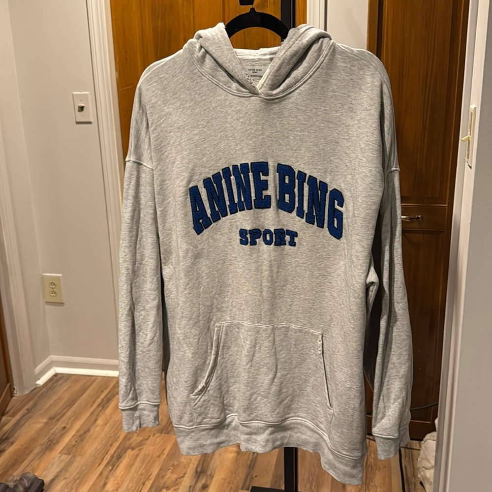 Anine Bing Sport Grey Hoodie.